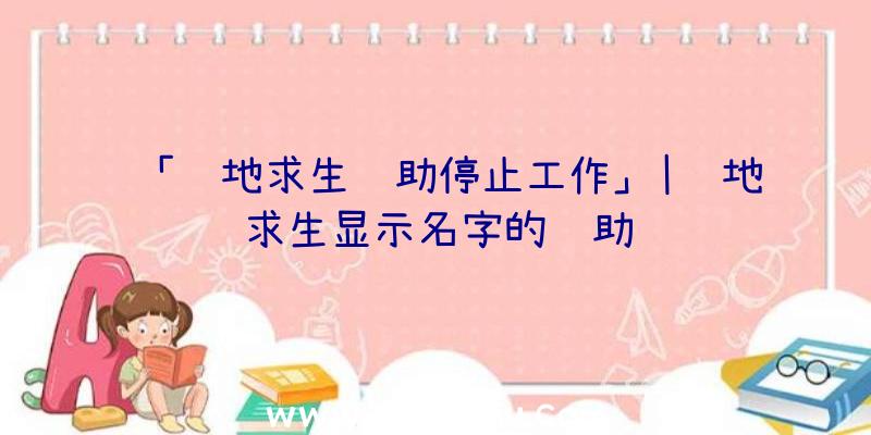 「绝地求生辅助停止工作」|绝地求生显示名字的辅助